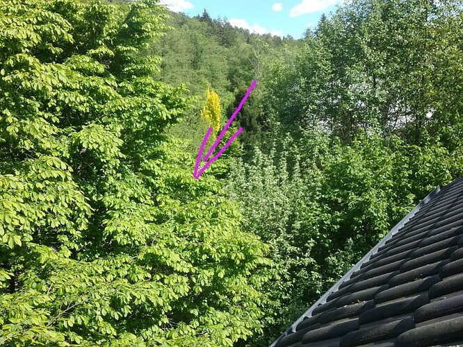 Screenshot_20250512-203313