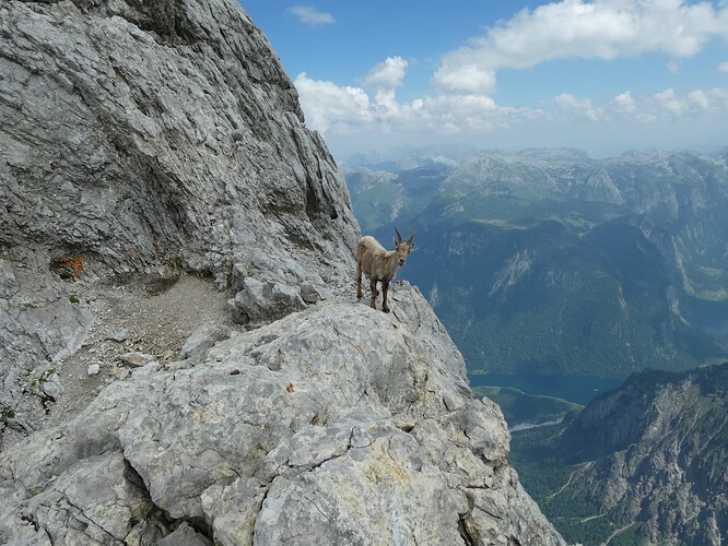 Griesspitze_Watzmann 079