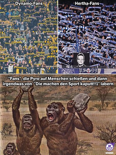 FB_IMG_1775346975273