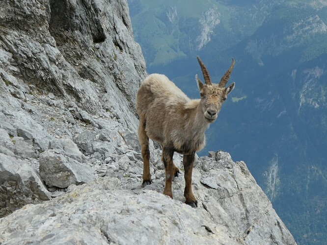 Griesspitze_Watzmann 080