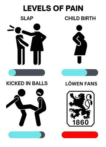 FB_IMG_1733248530163