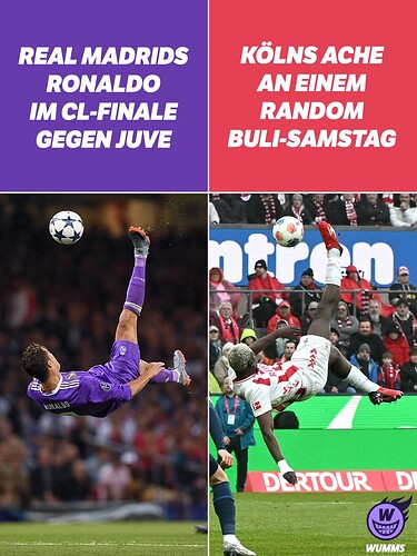 FB_IMG_1771719443288