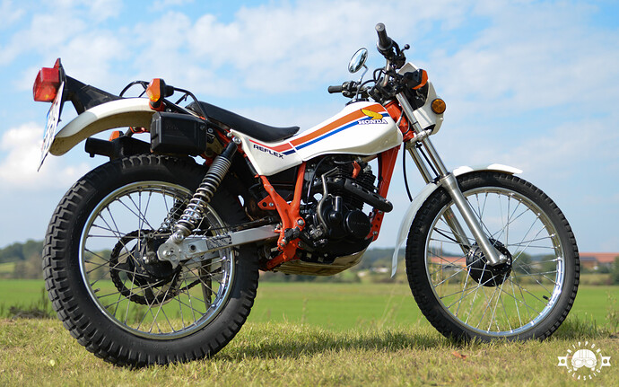 Honda-TLR200_004_Nippon-Classic.de_