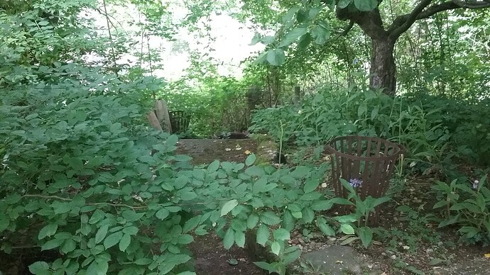 20250604_184853