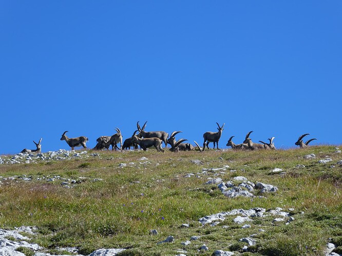 Schneibstein_Kahlersberg_GroßesTeufelshorn-Runde 126