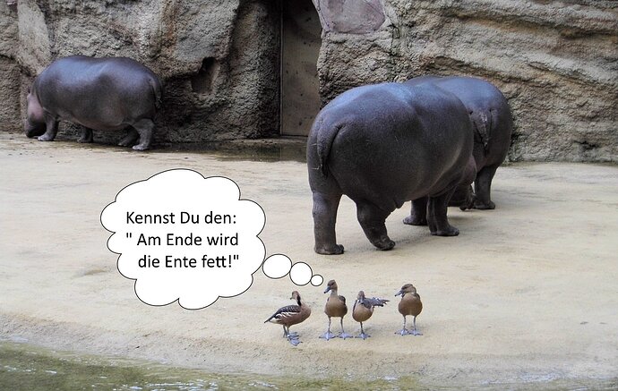 450600_XXL