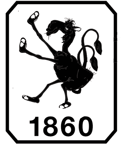 camel