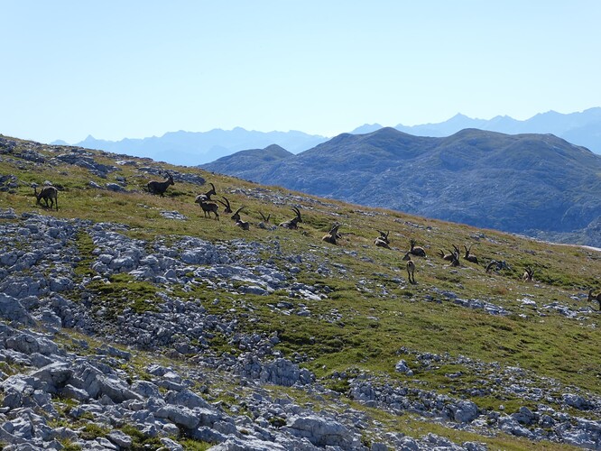 Schneibstein_Kahlersberg_GroßesTeufelshorn-Runde 116