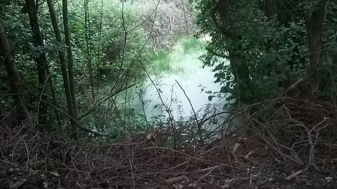 13bc051ba83678b7773e13a804b0fae7f6493e9f21380x776