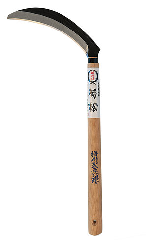 kikumatsu_banshu_180_takemoto