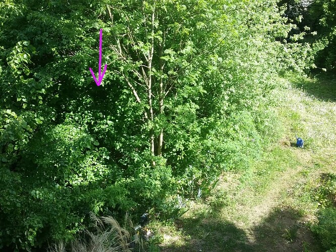 Screenshot_20250512-203453