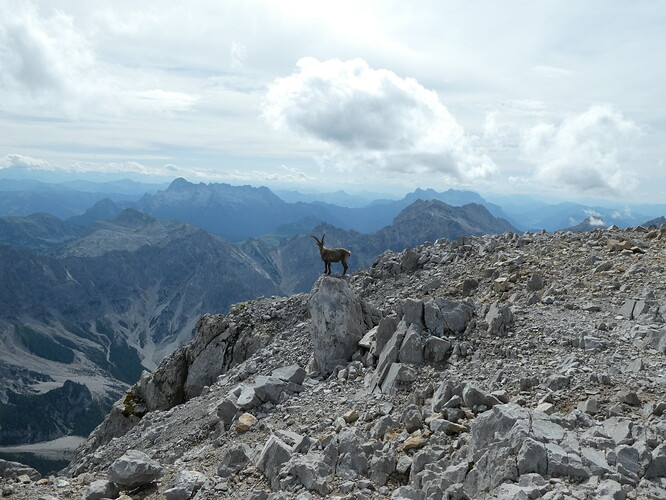 WatzmannOstwand 035