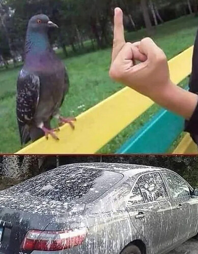 aapost