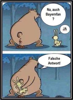 Falscher Fan