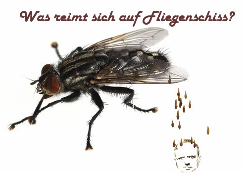 Fliegenschiss