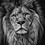 Lionking20